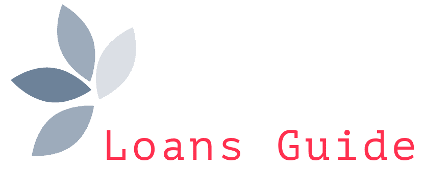 Loans Guide - A Lite Version