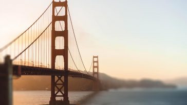 Navigating the Digital Gold Rush: A Beginner’s Guide to Crypto Trading
