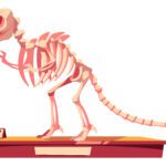 What Is a Cryptozoologist? 27 Cryptozoologist
