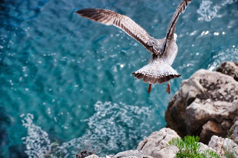 Surge in Last-Minute Holiday Flights: Book Now for Best Deals!