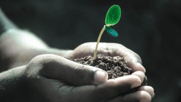 Unlocking Your Financial Future: Top 5 Financing Trends to Watch in 2023
