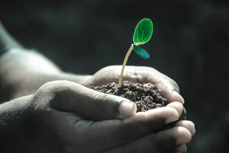 Unlocking Your Financial Future: Top 5 Financing Trends to Watch in 2023